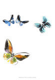Butterflies Dance VII Prints