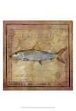 Ocean Fish IV Lámina