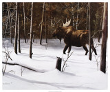 Winter Forage Poster by Kevin Daniel