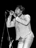 James Brown Edición limitada por George Shuba