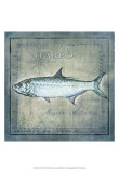 Ocean Fish X Pósters