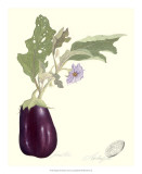 Aubergine Prints by James Linton Sain