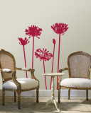 Red Agapanthus Autocollant mural