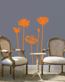 Orange Agapanthus Wall Decal