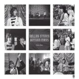 Rolling Stones Gather Moss Posters