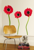Red Poppies Vinilos decorativos