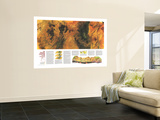 Grand Canyon Of Colorado Map 1978 Mural Grand Canyon Of Colorado Map 1978 Mural
