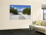 Boardwalk Leading to Beach, Liepaja, Latvia Wall Mural by Ian Trower