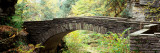 Arch Bridge in a Forest, Robert H. Treman State Park, Ithaca, Tompkins County, Finger Lakes Photographic Print