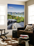 View of Ao Ton Sai and Ao Lo Dalam Beaches, Ko Phi Phi Don, Thailand Wall Mural by Ian Trower