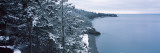 Snow Covered Douglas Fir (Pseudotsuga Menziesii) Trees, Deception Pass State Park, Whidbey Island Photographic Print