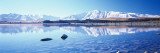 Mountain Range at the Lakeside, Two Thumb Range, Lake Tekapo, Mackenzie Basin, South Island Fotografiskt tryck
