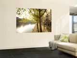 River Seine and Ile St. Louis, Paris, France Wall Mural by Jon Arnold