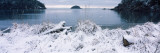 Grass Covered with Snow on the Beach, Bowman Bay, Deception Pass State Park, Washington Photographic Print