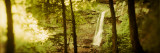 Waterfall in a Forest, Kaaterskill Falls, Catskill Mountains, Hunter, Greene County, New York Lámina fotográfica