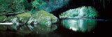 Natural Arch in a Forest, Moria Gate Arch, Oparara Basin, Kahurangi National Park Lámina fotográfica Natural Arch in a Forest, Moria Gate Arch, Oparara Basin, Kahurangi National Park Lámina fotográfica