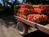 Sack of Onions on a Cart, Seclantas, Calchaqui Valleys, Salta Province, Argentina Photographic Print