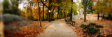 Walkway in a Park, Central Park, Manhattan, New York City, New York State, USA Photographic Print