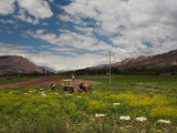 Farmers Working in a Lettuce Field, Tilcara, Quebrada De Humahuaca, Argentina Photographic Print