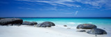 Boulders on the Beach, Flinders Bay, Western Australia, Australia Fotografie-Druck