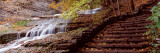 Waterfall in a Forest, Buttermilk Falls, Buttermilk Falls State Park, Ithaca, Finger Lakes Lámina fotográfica