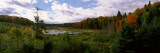 Stream Flowing Through a Forest, Ottawa National Forest, Upper Peninsula, Michigan, USA Photographic Print