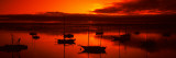 Boats in a Bay, Morro Bay, San Luis Obispo County, California, USA - Fotografik Baskı