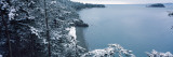 Snow Covered Douglas Fir (Pseudotsuga Menziesii) Trees, Deception Pass State Park, Whidbey Island Photographic Print