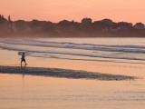 Man Walking on the Beach, Good Harbor Beach, Gloucester, Cape Ann, Massachusetts, USA Photographic Print