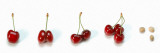 Photo Collection of Cherries Reprodukcja zdjęcia