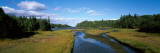 Trees Around a Marsh, Cape Breton Island, Nova Scotia, Canada Photographic Print