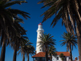Palm Trees in Front of a Lighthouse, Punta Del Este, Maldonado, Uruguay Photographic Print