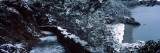Trail Passing Through a Forest, Deception Pass State Park, Whidbey Island, Washington Photographic Print