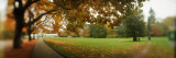 Autumn Trees in a Park, Volunteer Park, Capitol Hill, Seattle, King County, Washington State, USA Photographic Print