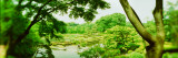 Trees in a Public Park, Tokyo Prefecture, Kanto Region, Japan Photographic Print