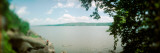 Trees at Riverbank, Palisades, Hudson River, New Jersey, USA Photographic Print