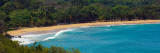 Trees on the Beach, Deshaies, Guadeloupe Photographic Print