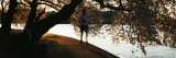 Cherry Blossoms And Morning Jogger at the Riverbank, Tidal Basin, Potomac River, Washington DC Photographic Print