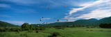 Hot Air Balloons Rising, Hot Air Balloon Rodeo, Steamboat Springs, Routt County, Colorado, USA Impressão fotográfica