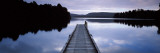Pier in a Lake, Lake Mapourika, South Island, New Zealand Fotografiskt tryck Pier in a Lake, Lake Mapourika, South Island, New Zealand Fotografiskt tryck