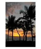 Sunset Silhouette in Maui Fotografisk trykk av Chris Burns