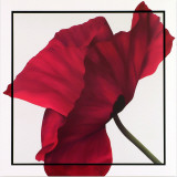 Papaver II Láminas por Yvonne Poelstra-Holzhaus Papaver II Láminas por Yvonne Poelstra-Holzhaus