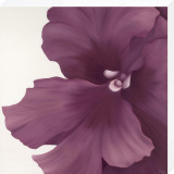 Violet Flower I Druck aufgezogen auf Holzplatte von Yvonne Poelstra-Holzhaus