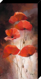 Poppy Bouquet II Affiche montée par Willem Haenraets