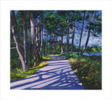Avenue of Pines Limited Edition by Davy Brown