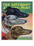 "Greyhounds," Saturday Evening Post Cover, March 29, 1941 Giclee Print by Paul Bransom