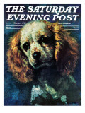 "Cocker Spaniel," Saturday Evening Post Cover, March 1, 1975 Giclee Print by L. Mayer