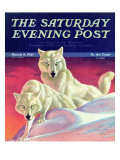 "White Wolves," Saturday Evening Post Cover, March 8, 1941 Giclee Print by Jack Murray