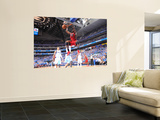 Miami Heat v Dallas Mavericks - Game Four, Dallas, TX -June 7: Joel Anthony Wall Mural by Jesse D. Garrabrant
