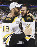 Boston Bruins - David Krejci & Nathan Horton Photo